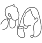 paediatric ENT issues